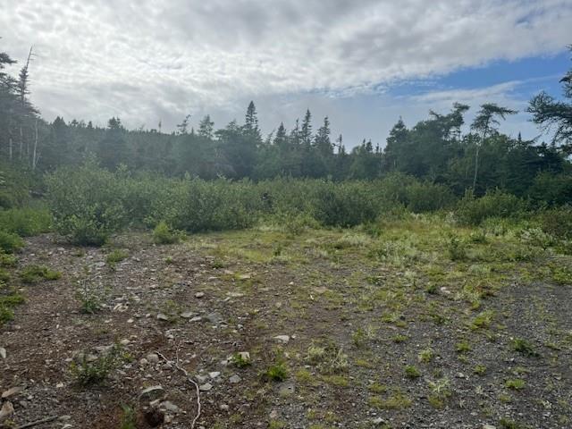 19 Island Pond Road, Spread Eagle, NL