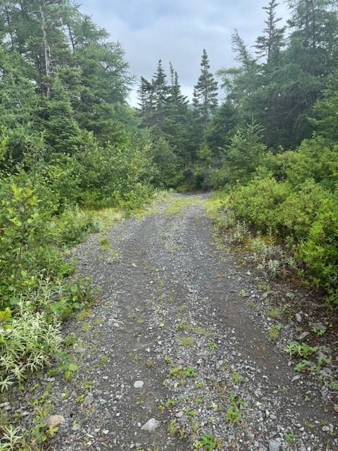 19 Island Pond Road, Spread Eagle, NL