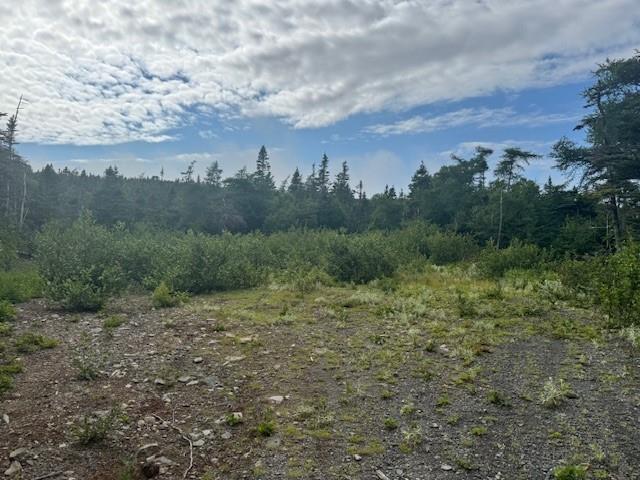 19 Island Pond Road, Spread Eagle, NL