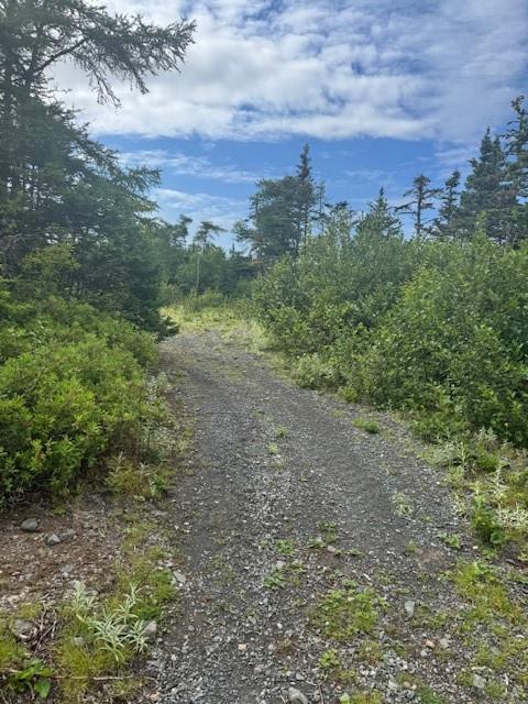 19 Island Pond Road, Spread Eagle, NL