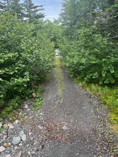 19 Island Pond Road, Spread Eagle, NL