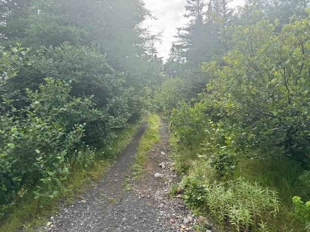 19 Island Pond Road, Spread Eagle, NL