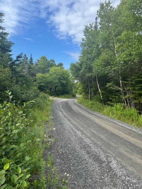 19 Island Pond Road, Spread Eagle, NL