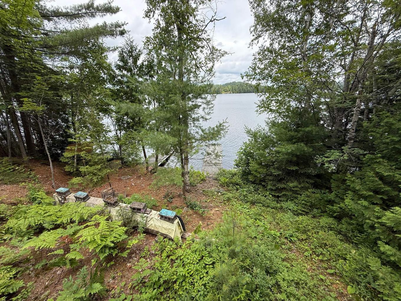 Cour - 412 Ch. Du Cimetière, Kipawa, QC - Outdoor