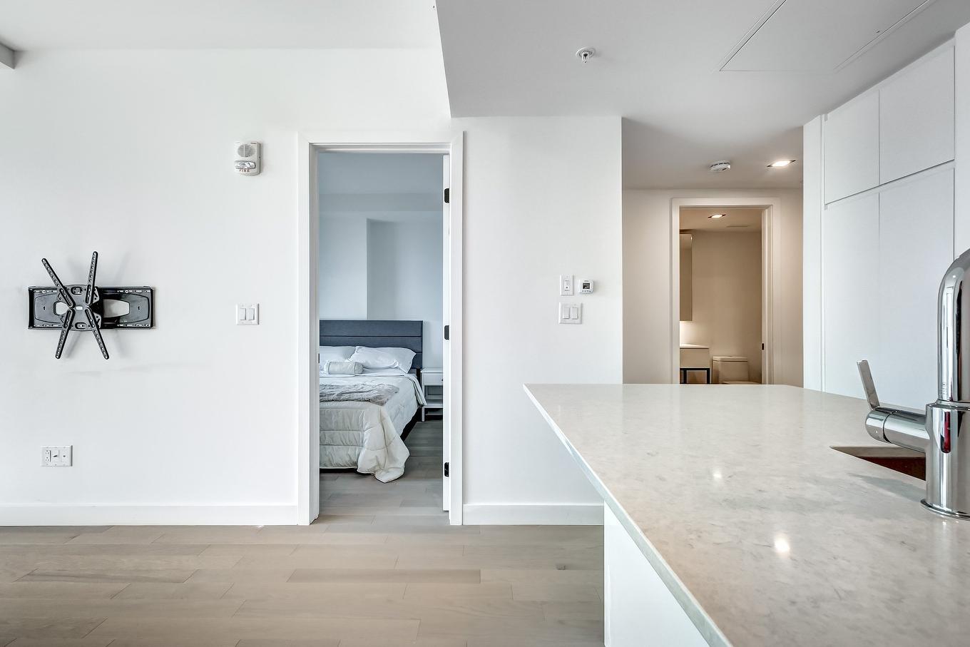 Overall view - 2818-1210 Rue Jeanne-Mance, Montréal (Ville-Marie), QC - Indoor