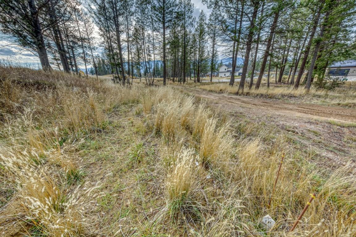 Pedley Heights Drive, Windermere, BC - Outdoor With View