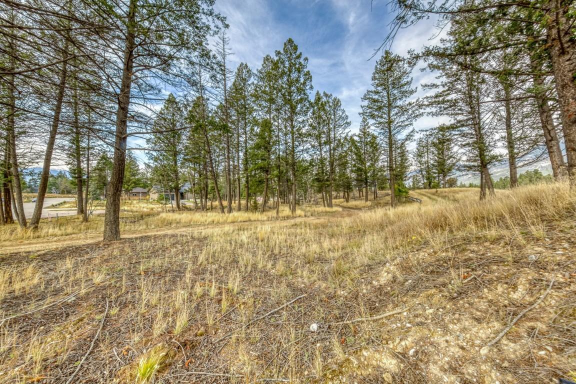 Pedley Heights Drive, Windermere, BC - Outdoor With View