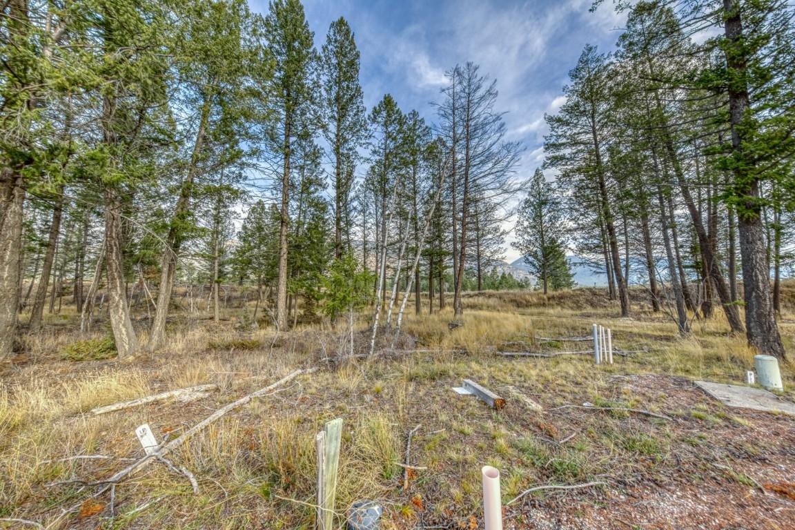 Pedley Heights Drive, Windermere, BC - Outdoor With View