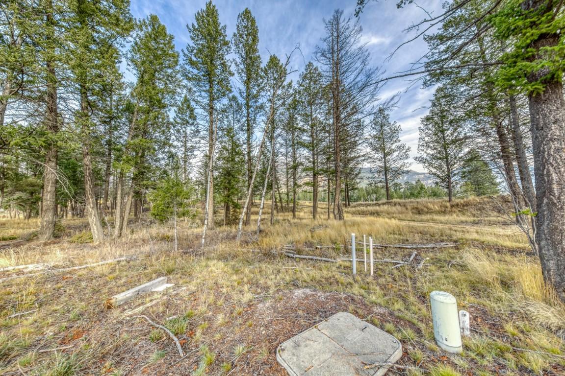 Pedley Heights Drive, Windermere, BC - Outdoor With View