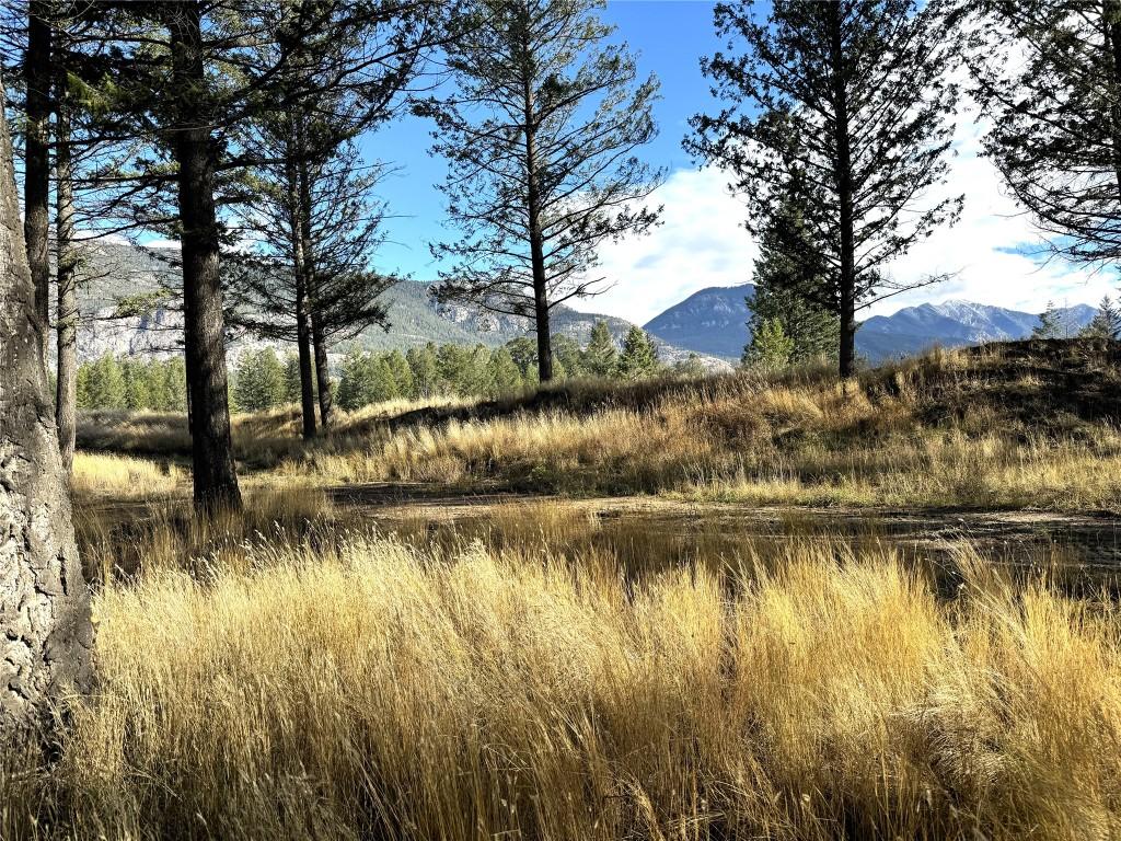 Pedley Heights Drive, Windermere, BC - Outdoor With View