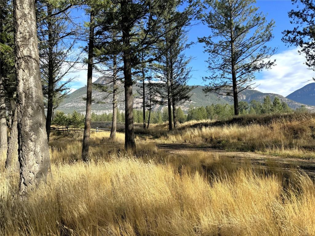 Pedley Heights Drive, Windermere, BC - Outdoor With View