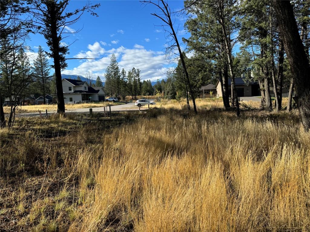 Pedley Heights Drive, Windermere, BC - Outdoor With View