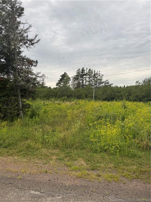 0 Collins Lake Rd, Shemogue, NB