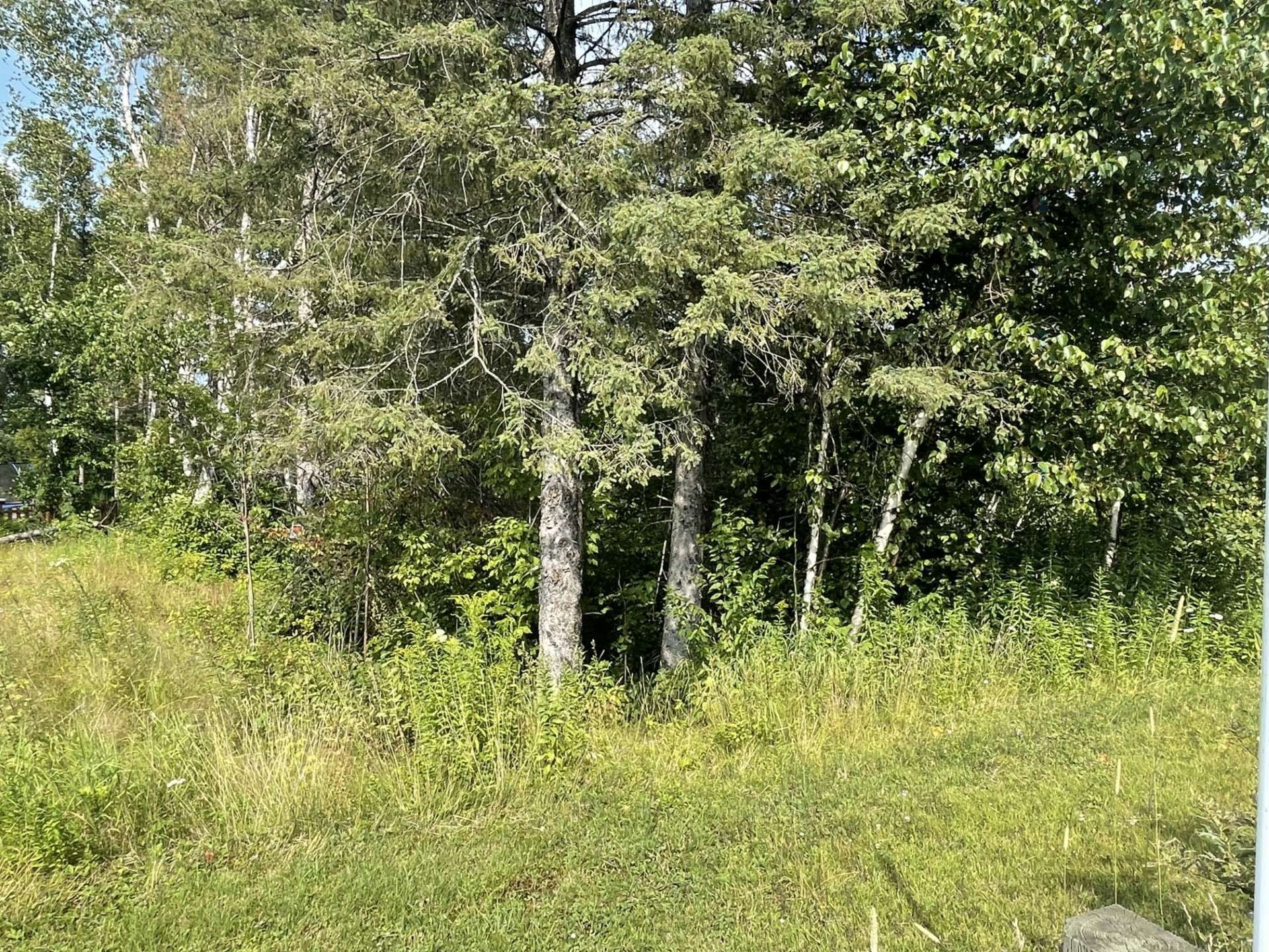 Terre/Terrain - Rue Des Algonquins, Mont-Laurier, QC