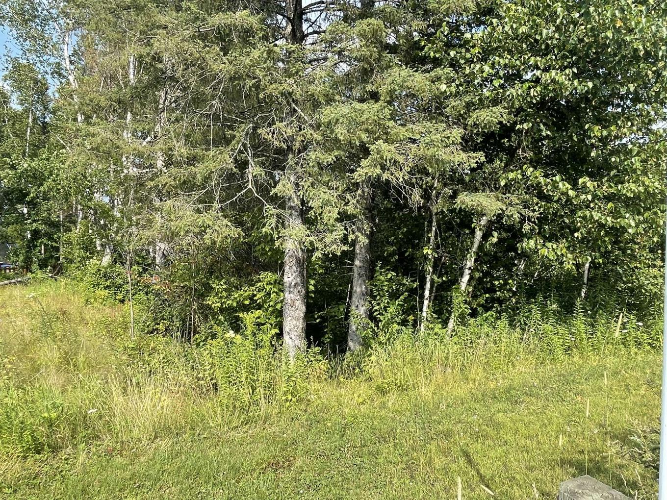 Terre/Terrain - Rue Des Algonquins, Mont-Laurier, QC