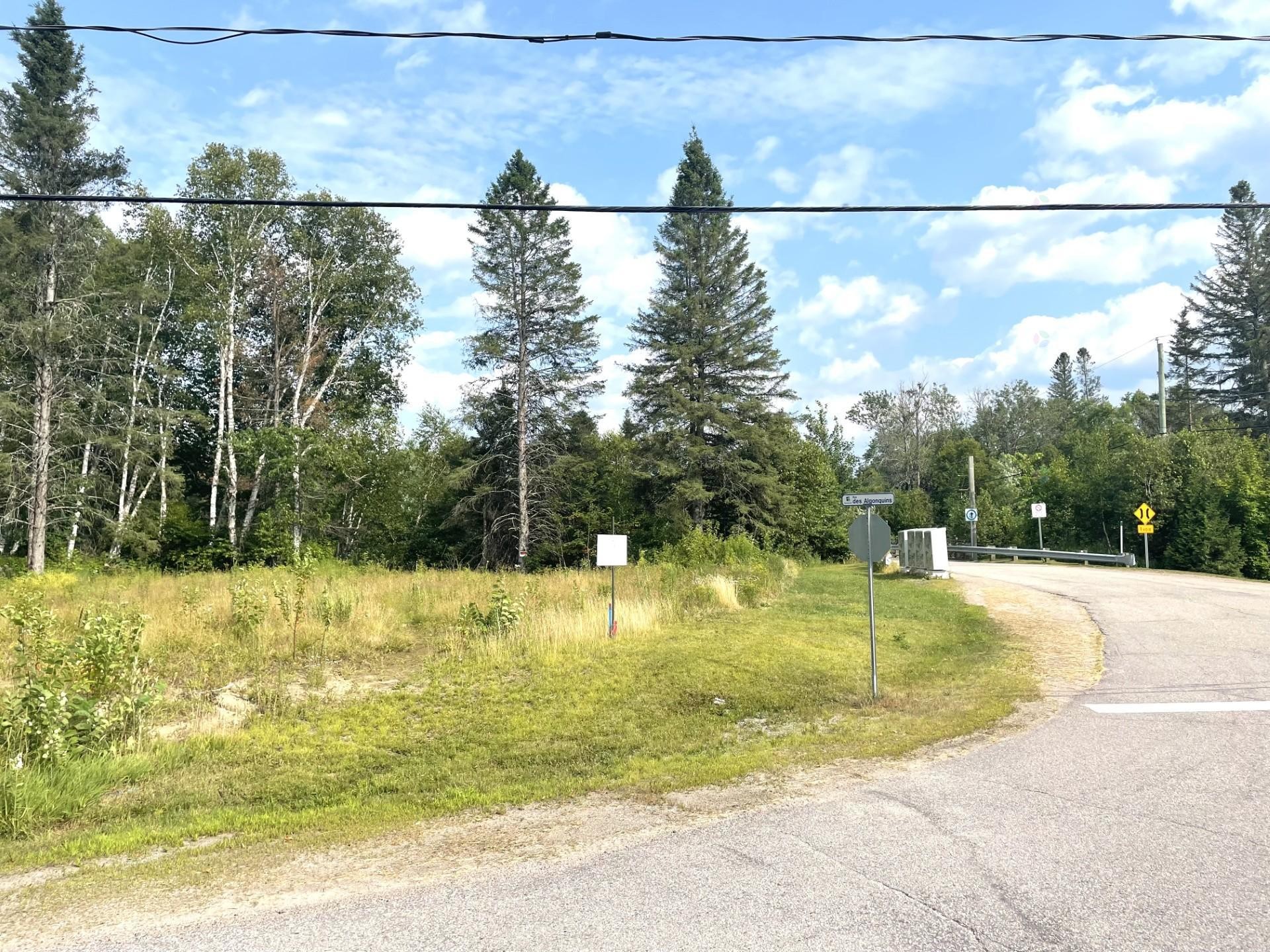 Terre/Terrain - Rue Des Algonquins, Mont-Laurier, QC