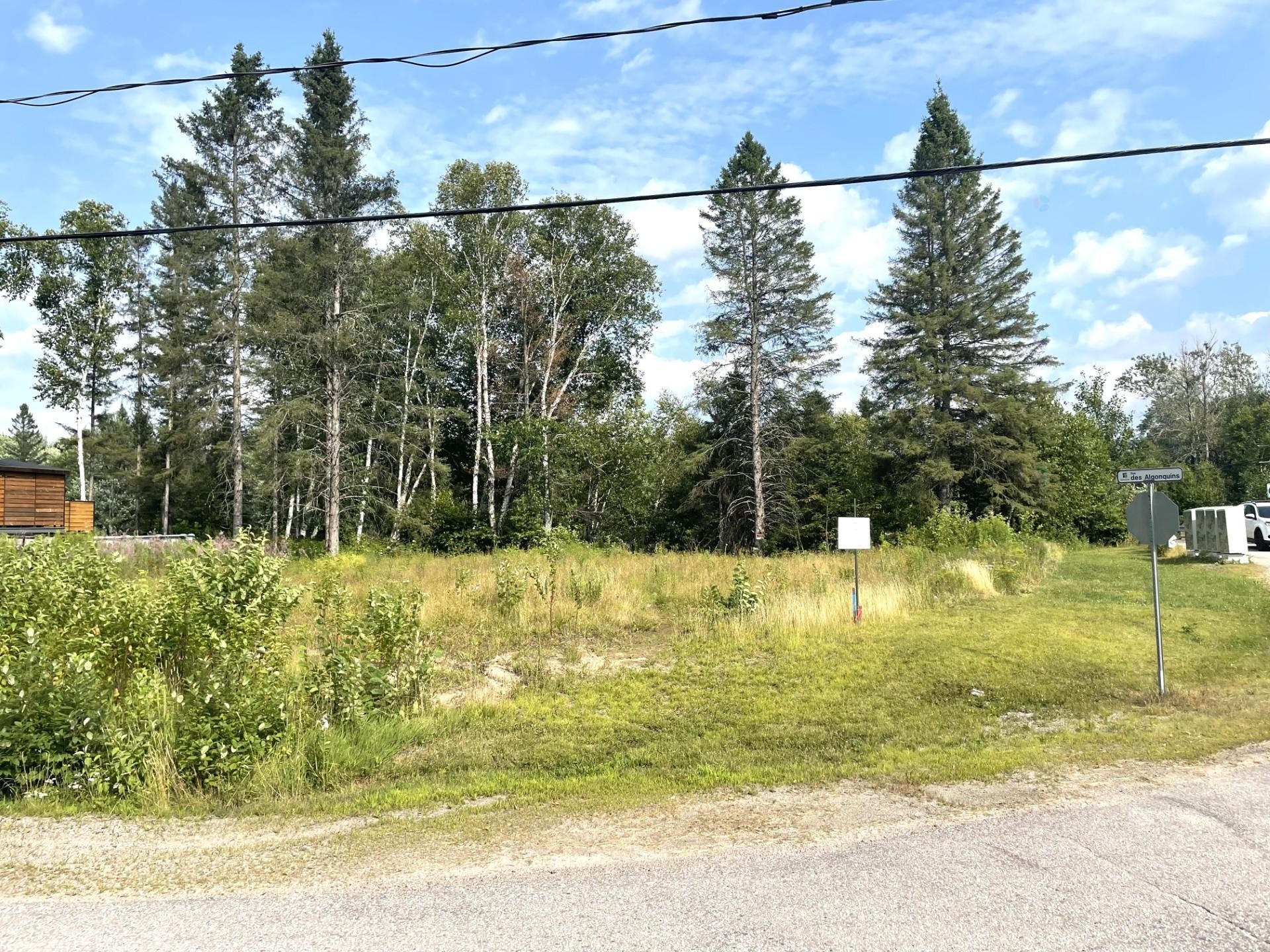Terre/Terrain - Rue Des Algonquins, Mont-Laurier, QC