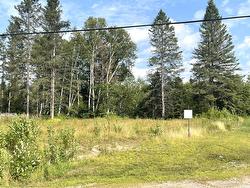 Land/Lot -