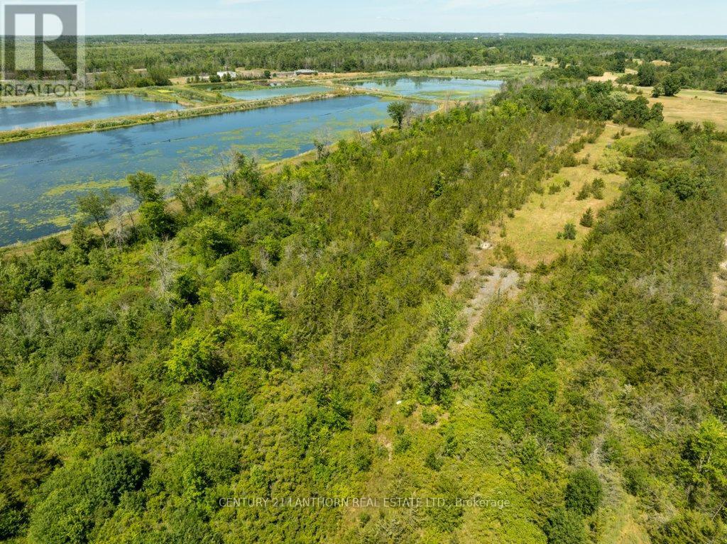 4250 Taylor Kidd Boulevard, Loyalist (Amherstview), ON