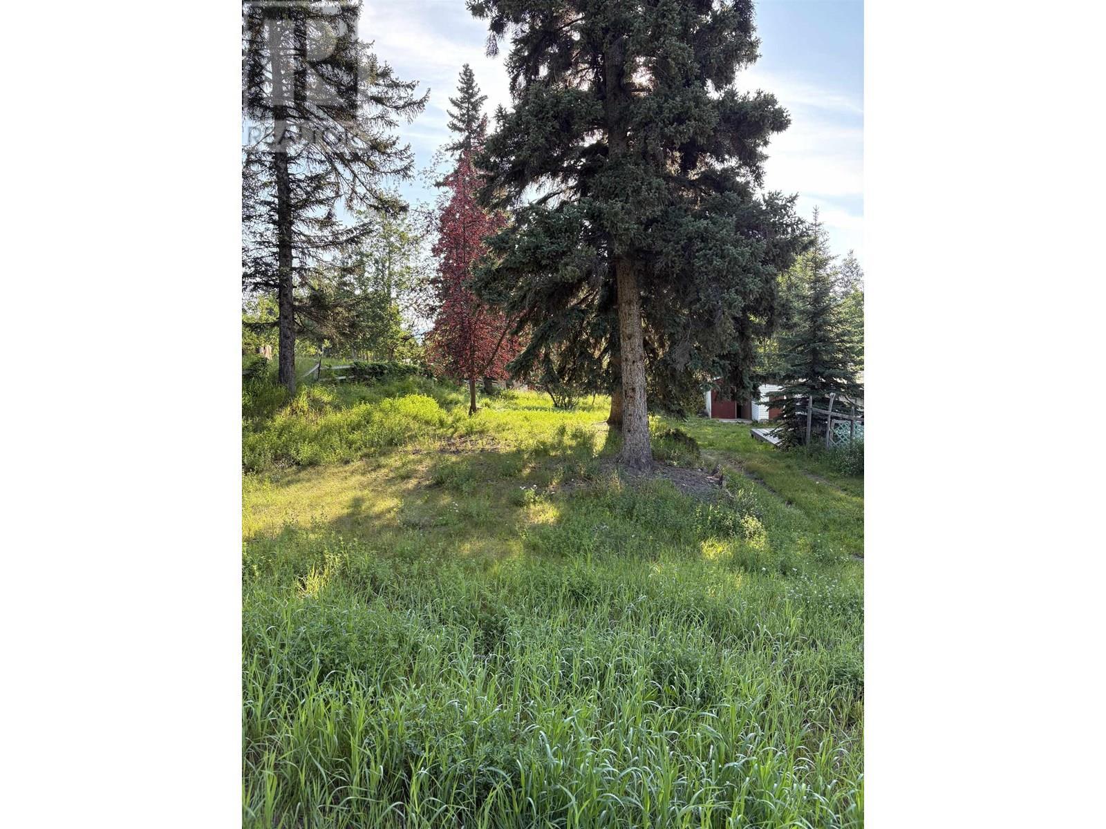 10713-10715 Learmonth Street, Hudsons Hope, BC - Outdoor With View