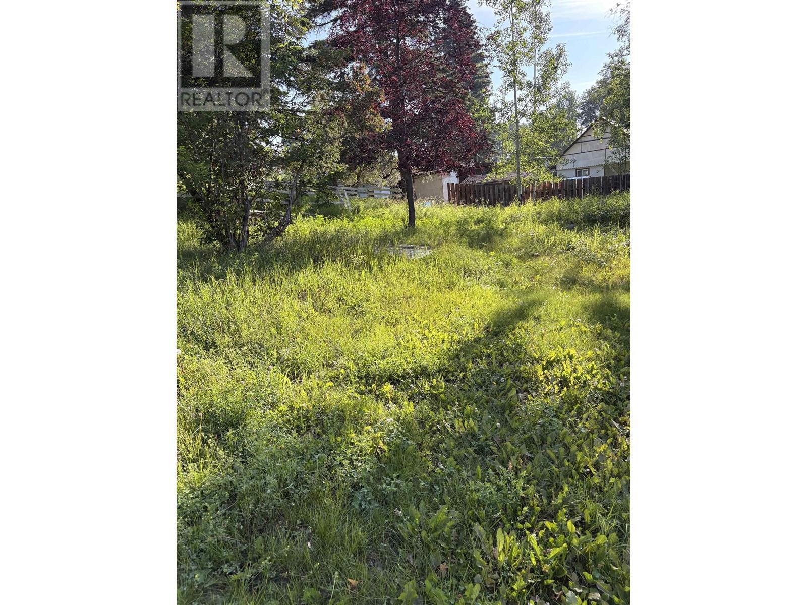 10713-10715 Learmonth Street, Hudsons Hope, BC - Outdoor With View