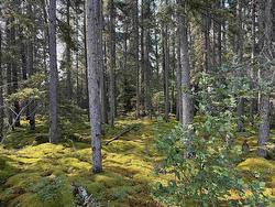 LOT 1 Kinger Road Kenora, ON P9N 0E4