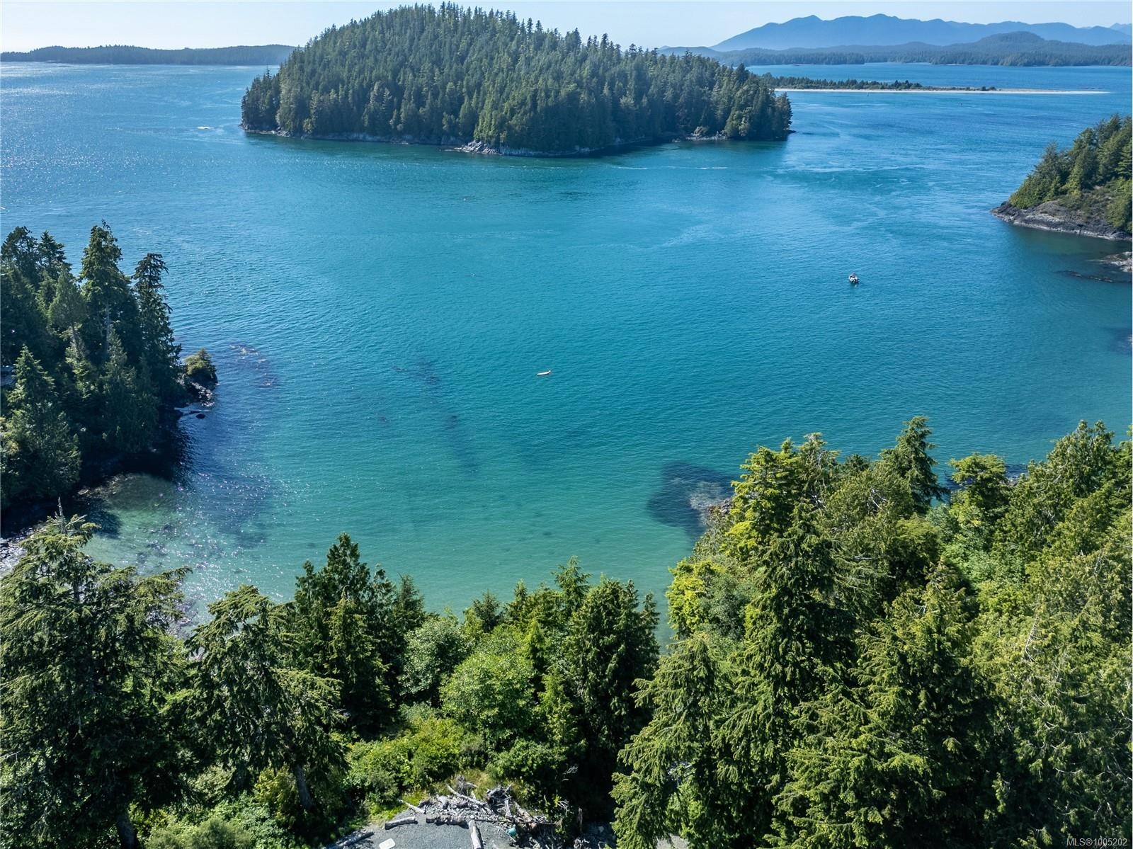 261 Cedar St, Tofino, BC