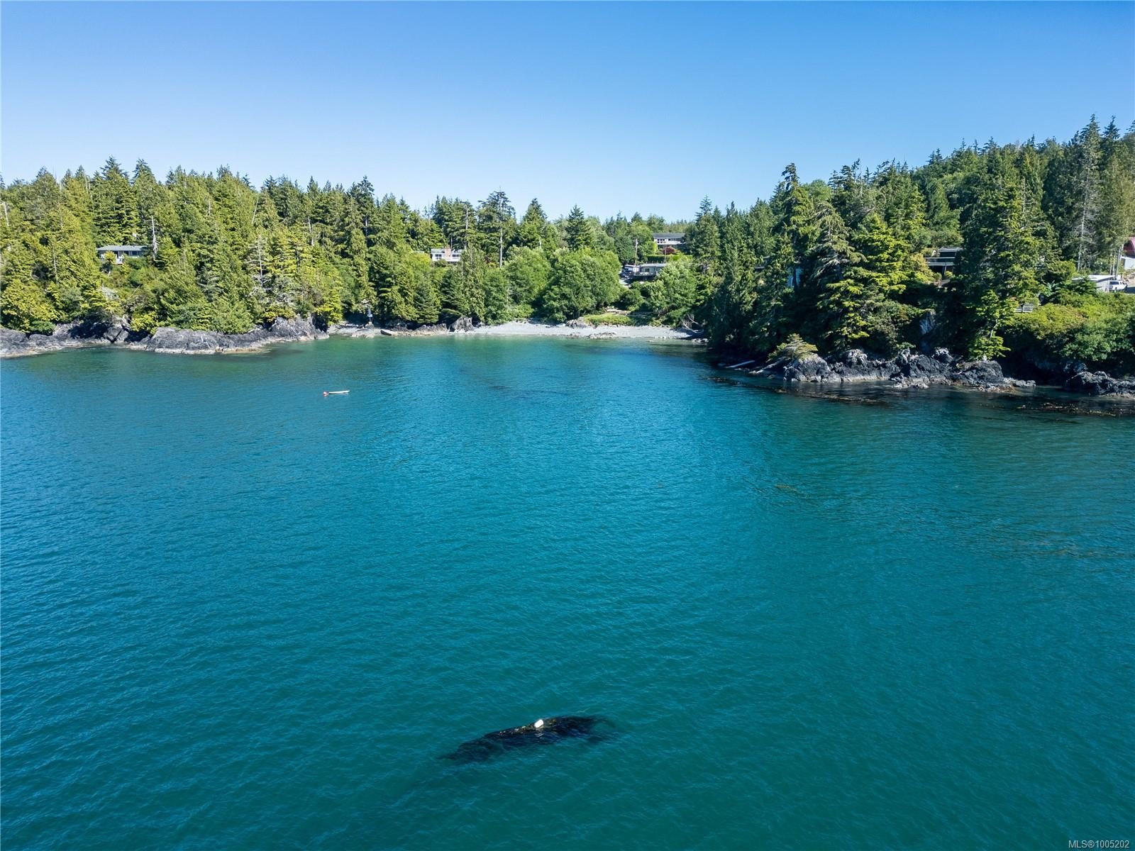 261 Cedar St, Tofino, BC