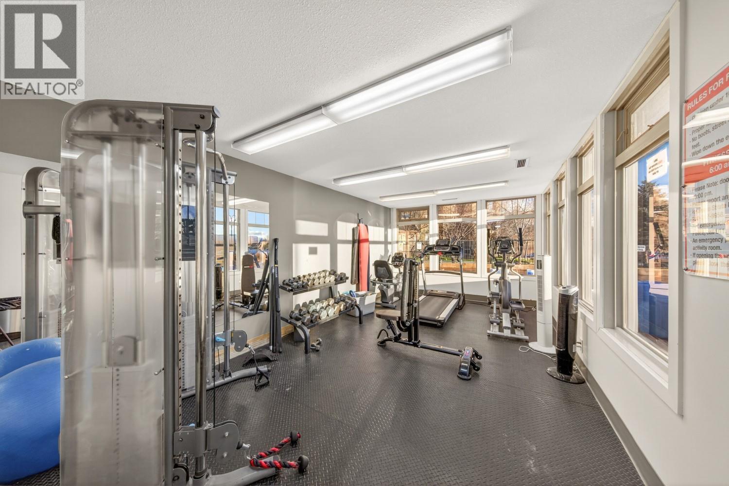 GYM - 205 Third Avenue Unit# 2114, Invermere, BC