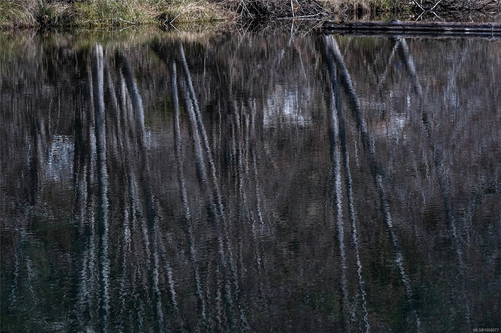 10136 Youbou Rd, Youbou, BC