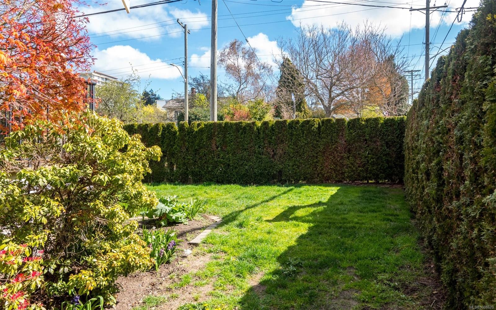 590 Simcoe St, Victoria, BC - Outdoor