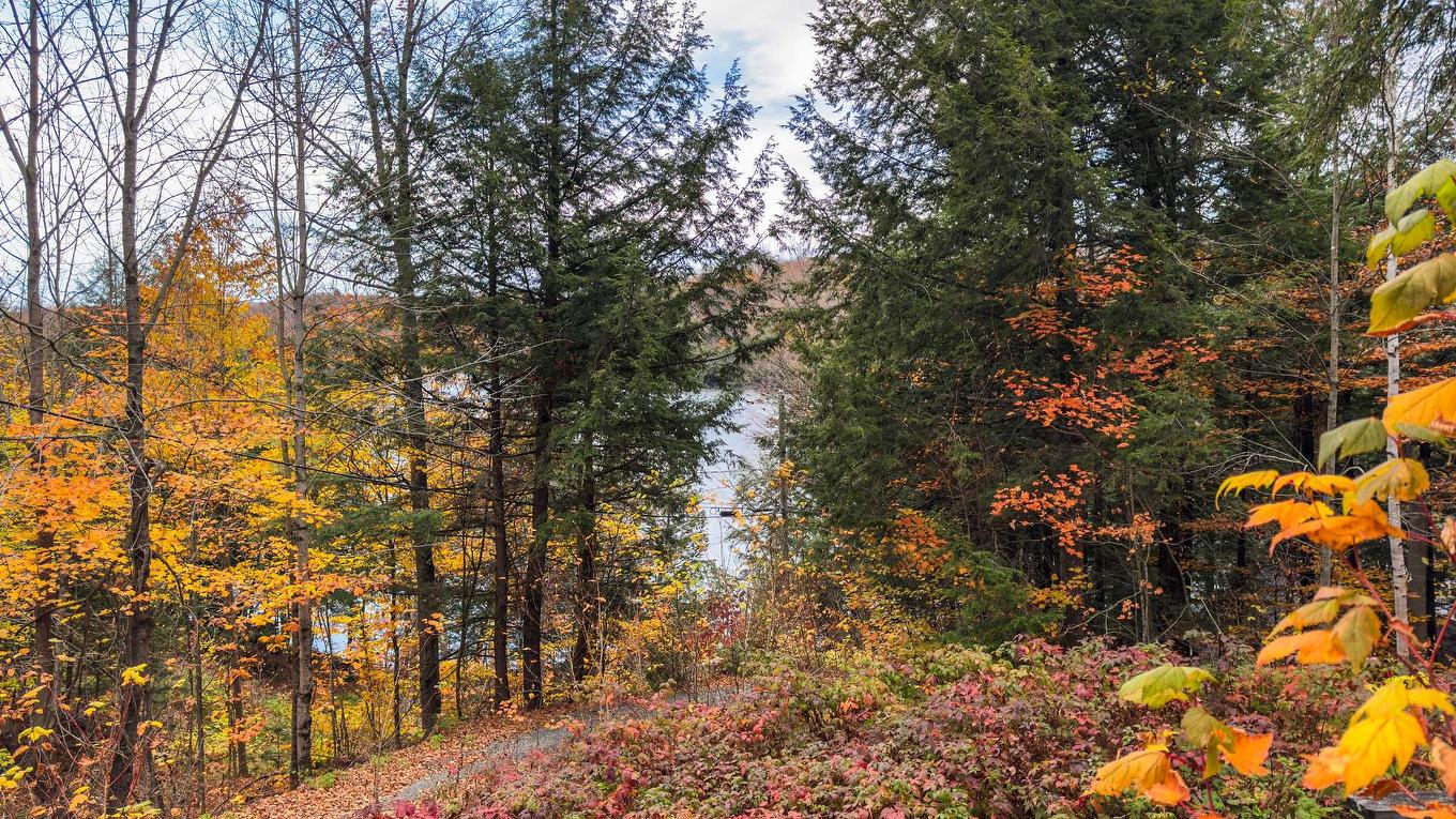 Water view - 19 Ch. Des Pruches, Grenville-Sur-La-Rouge, QC - Outdoor With View