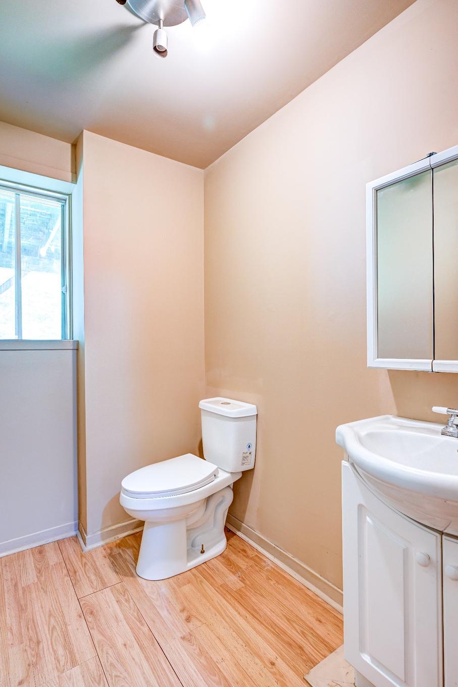 Powder room - 2236 Ch. Gémont, Saint-Adolphe-D'Howard, QC - Indoor Photo Showing Bathroom