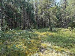 LOT 2 Kinger Road Kenora, ON P9N 0E4