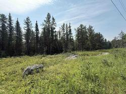 Lot 3 Kinger Road Kenora, ON P9N 0E4