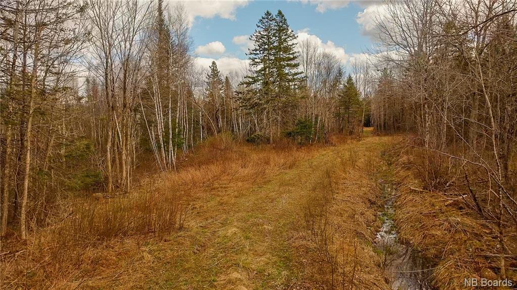 000 Scotch Ridge Rd, Scotch Ridge, NB