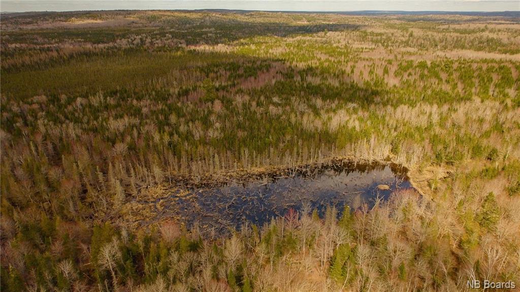 000 Scotch Ridge Rd, Scotch Ridge, NB