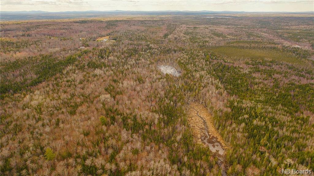 000 Scotch Ridge Rd, Scotch Ridge, NB