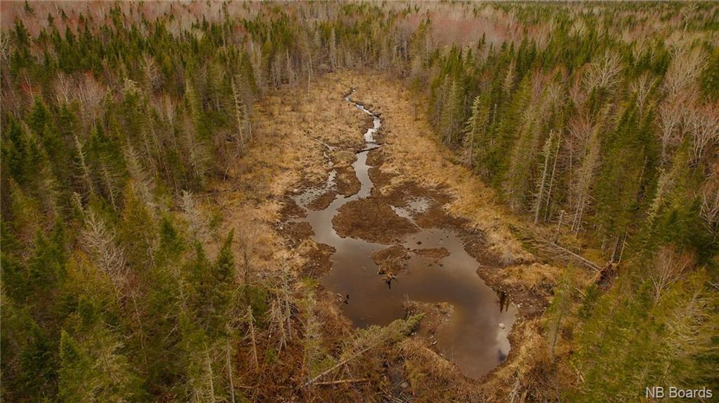 000 Scotch Ridge Rd, Scotch Ridge, NB