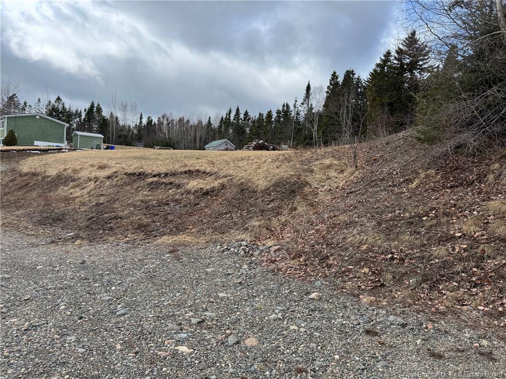 93 South St, St George, NB