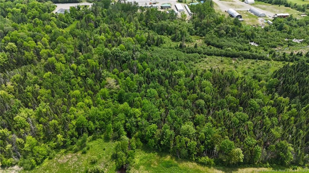 00 Route 1, Oak Bay, NB