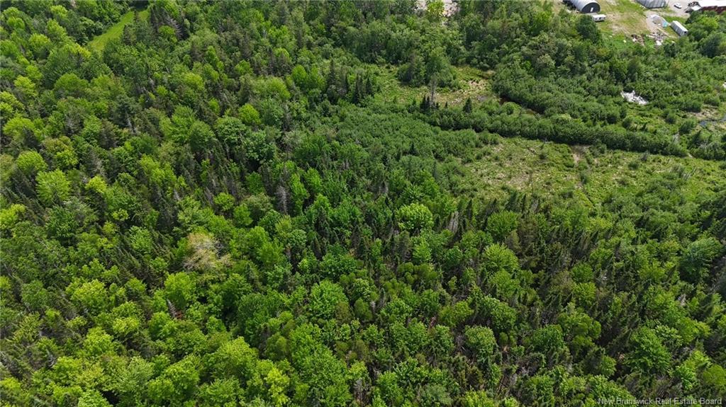 00 Route 1, Oak Bay, NB