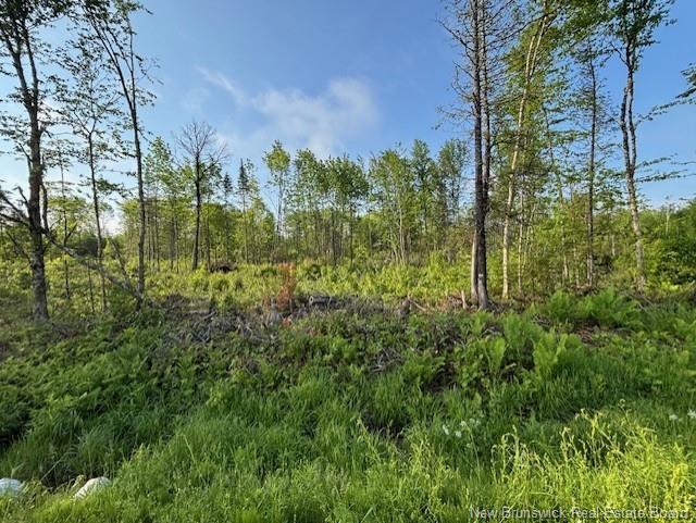 000 Upper Tower Hill Rd, Tower Hill, NB