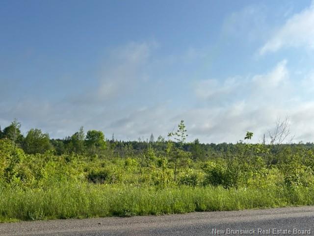 000 Upper Tower Hill Rd, Tower Hill, NB