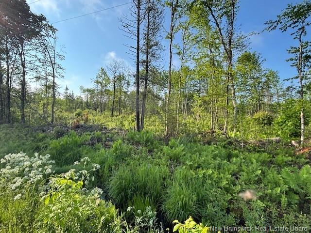 000 Upper Tower Hill Rd, Tower Hill, NB