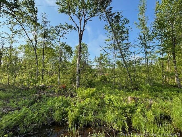 000 Upper Tower Hill Rd, Tower Hill, NB