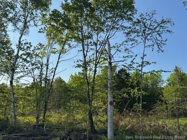 000 Upper Tower Hill Rd, Tower Hill, NB