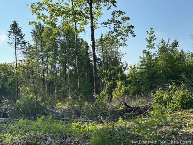 000 Upper Tower Hill Rd, Tower Hill, NB