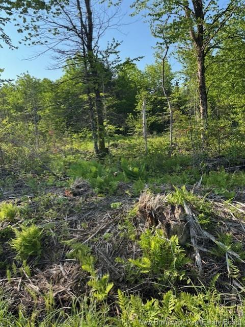 000 Upper Tower Hill Rd, Tower Hill, NB