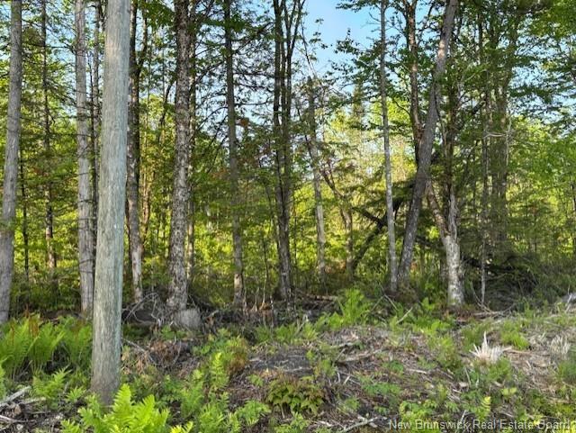 000 Upper Tower Hill Rd, Tower Hill, NB